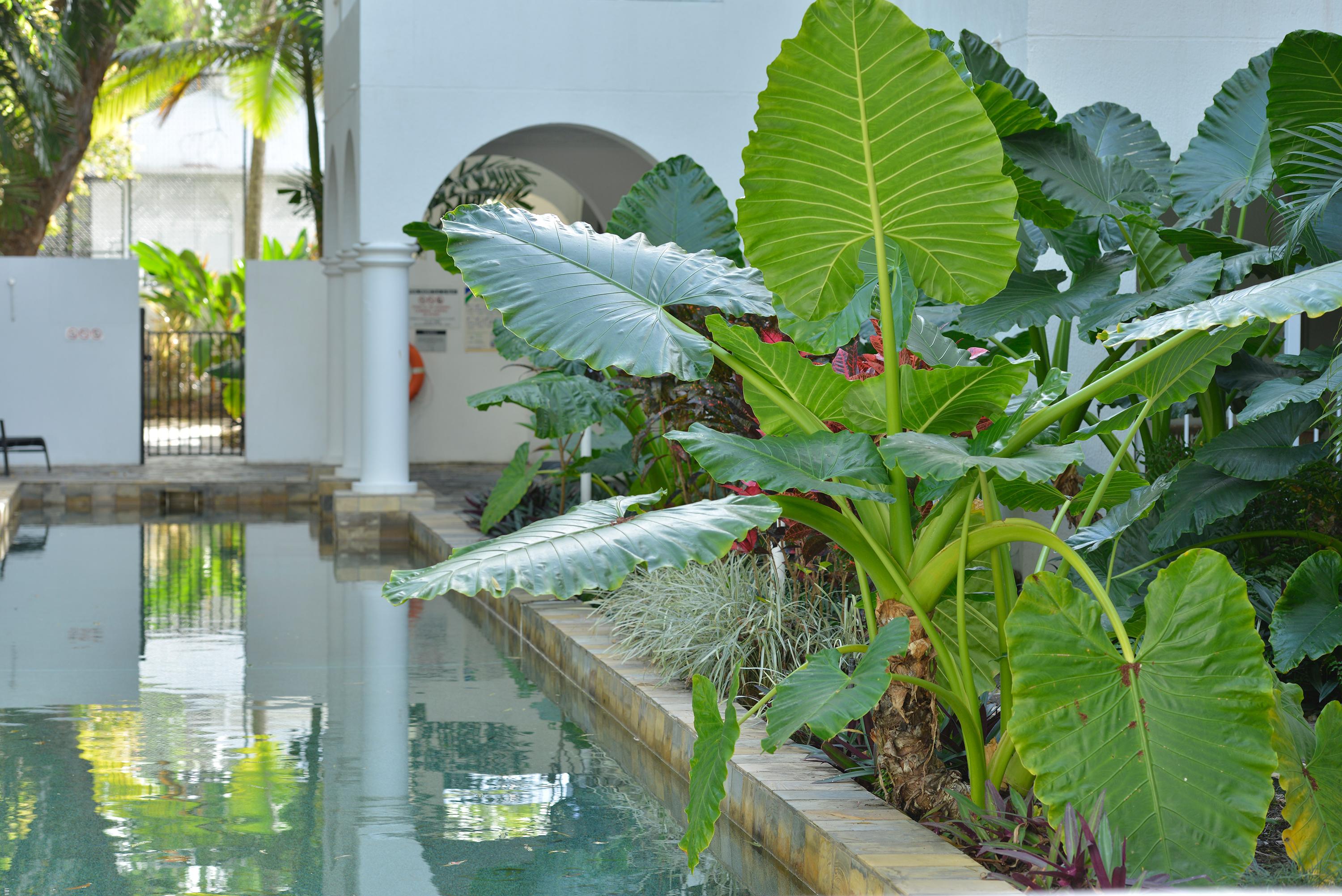 Mantra Portsea Hotel Port Douglas Eksteriør billede